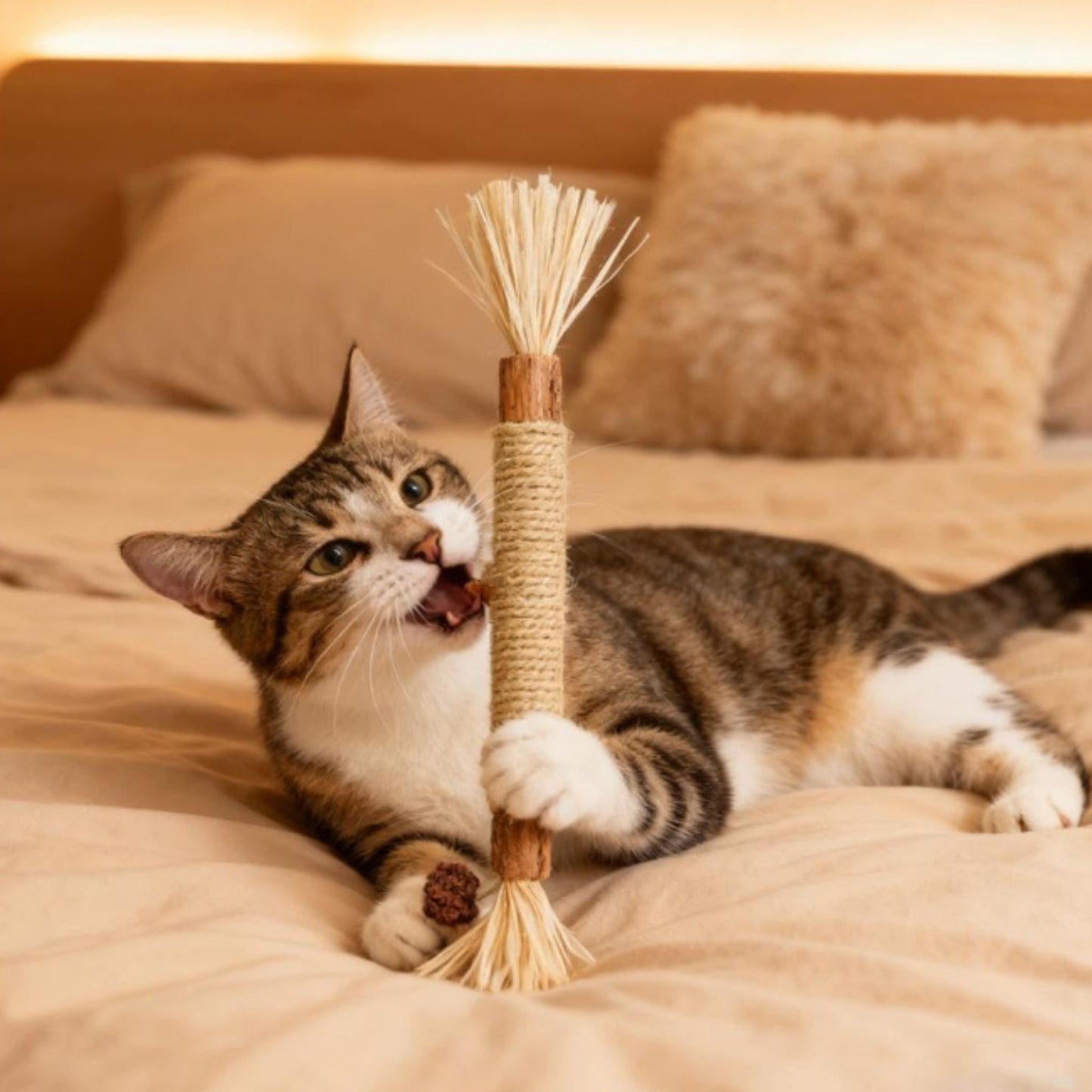 Palos Silvervine naturales para gatos - Grimpol - Grimpol