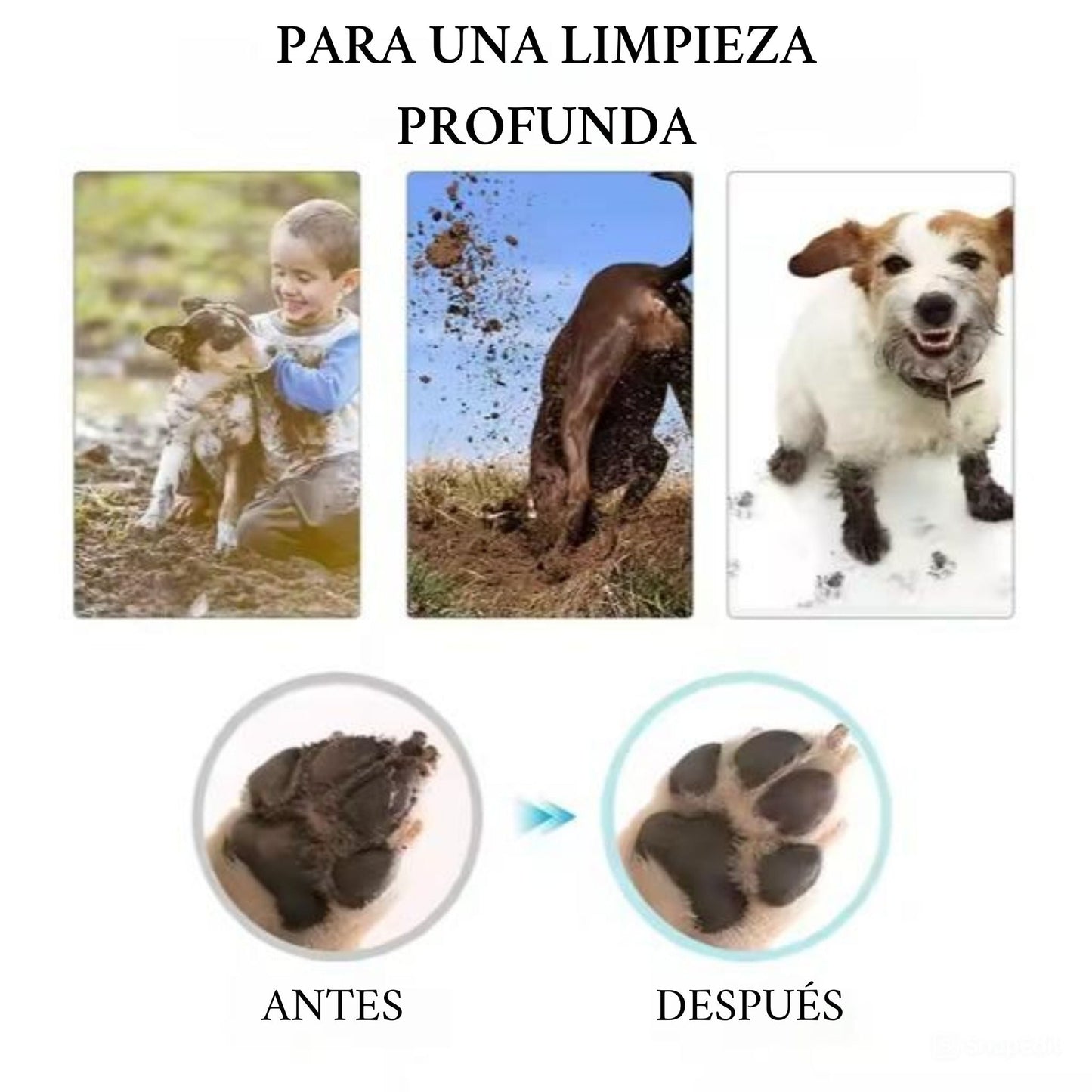Patas limpias - Casa limpia - Grimpol
