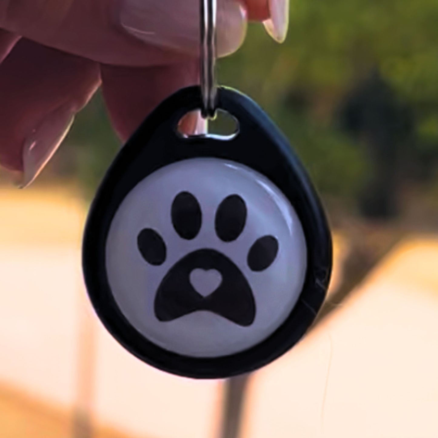 Placa identificativa - Protección diaria para Gatos y Perros - Grimpol