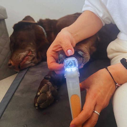 Corta Garras con Led de precisión - Grimpol