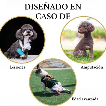 Cinturón auxiliar para perros mayores - Grimpol