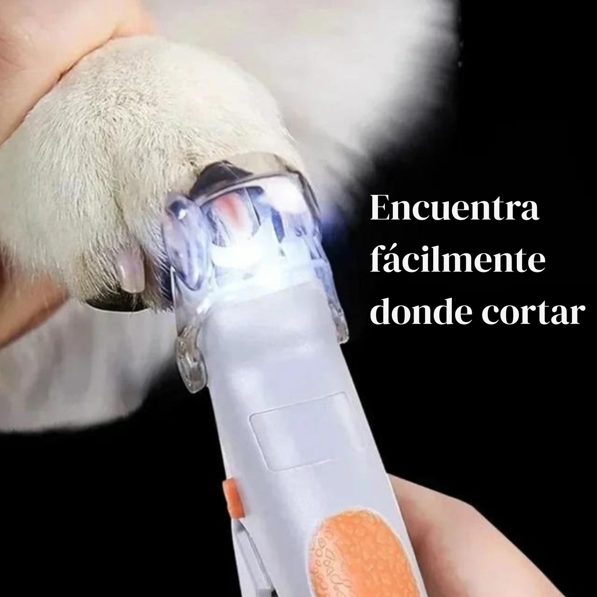 Corta Garras con Led de precisión - Grimpol - Grimpol