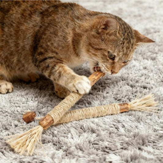 Palos Silvervine naturales para gatos - Grimpol - Grimpol