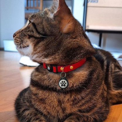 Placa identificativa - Protección diaria para Gatos y Perros - Grimpol