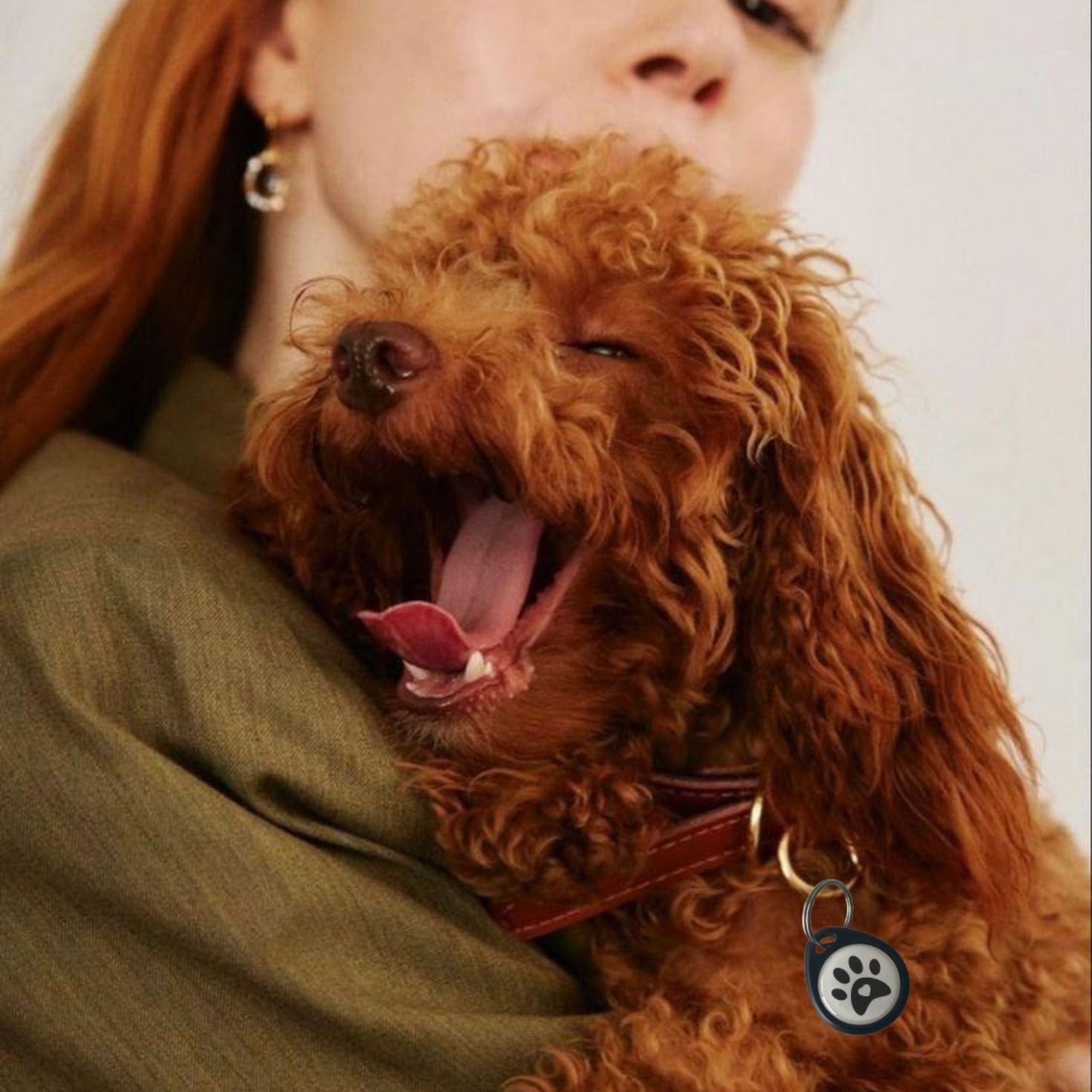 Placa identificativa - Protección diaria para Perros - Grimpol