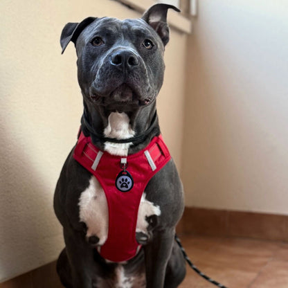 Placa identificativa - Protección diaria para Perros - Grimpol