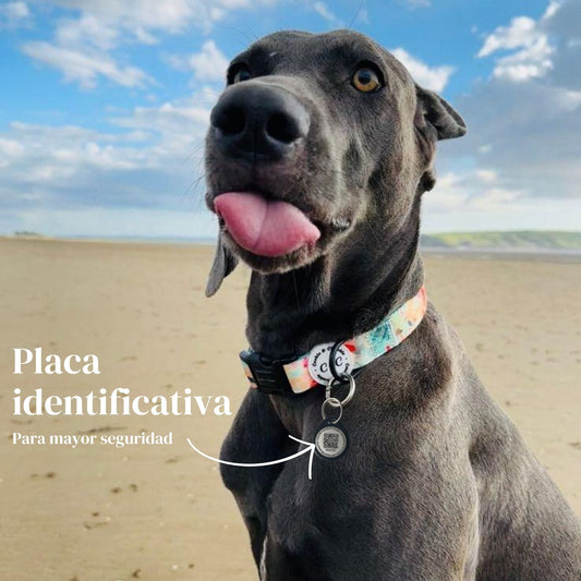 Placa identificativa - Protección diaria para Perros - Grimpol