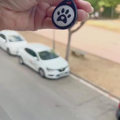 Placa identificativa - Protección diaria para Perros