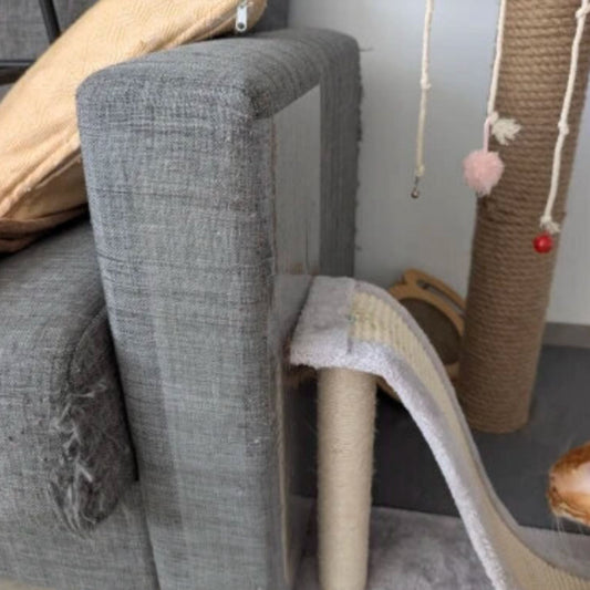 Protector Anti - Arañazos para Muebles - Grimpol - Grimpol