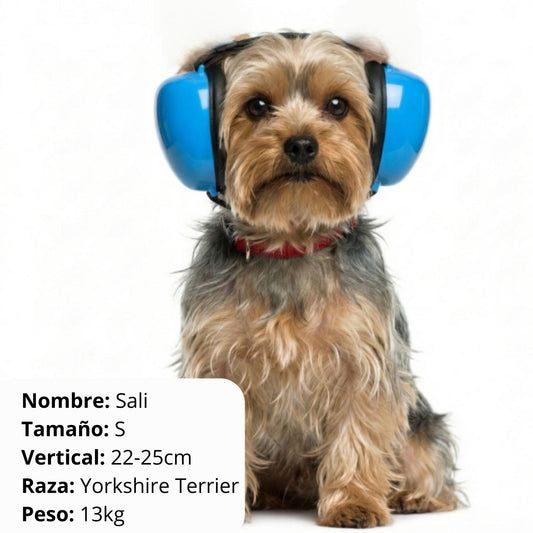 Protege sus oídos - Cancelación de ruido - Grimpol - Grimpol