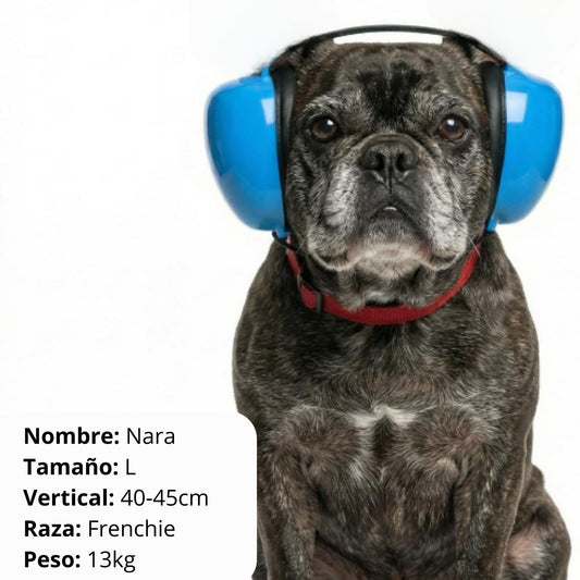 Protege sus oídos - Cancelación de ruido - Grimpol - Grimpol